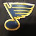 Tracy Timmons (@bluesguy39) Twitter profile photo