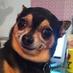 CalcetasAmarillas (@jesusflr) Twitter profile photo