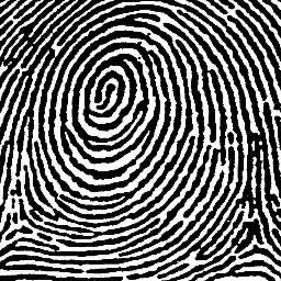 Author of the new book: How I Cracked the Reincarnation Code and discovered the Philosophers Stone