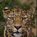 jarius brown - @jarius_brown - Twitter