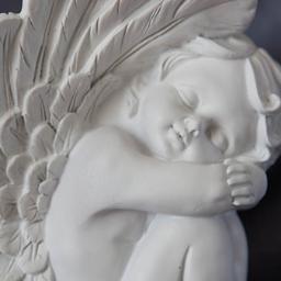 Adex63310's profile picture. Maman comblée,amoureuse,photographe..............