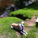 Fiona Downes - @fio246 - Twitter