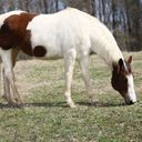 Madeline Bacon - @BaconMadeline - Twitter