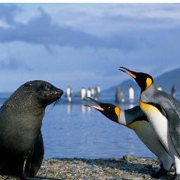 pichardojoel's profile picture. 