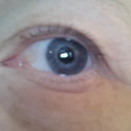 WencheSveen's profile picture. 