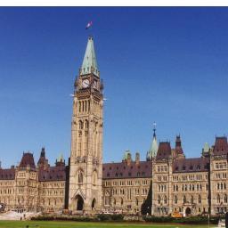 SpottedinOttawa's profile picture. 
