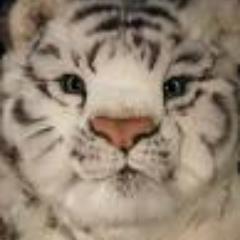 pr0pr0's profile picture. Bendigonian. ExSoldier. A little rightwingish and turning into a curmudgeon.  Currently trying to march a paunch off.