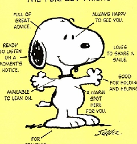 ioliaj's profile picture. 