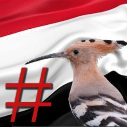 ( هاشتاقات وتغريدات يمانية )