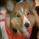 joseph bourque - @joeybour11 - Twitter