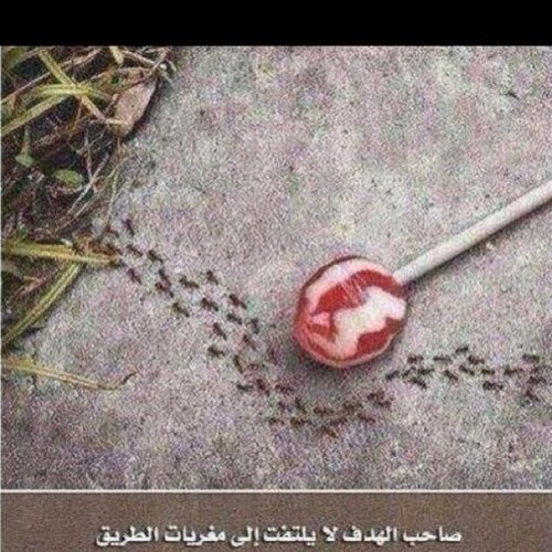 لَوْ أَنَّ في صَخْرَةٍ صَمَّا مُلَمْلَمَةٍ * في البَحْرِ رَاسِيَةٍ مِلْسٍ نوَاحِيهَا
رِزقًا لِعَبْدٍ بَرَاهَا اللهُ لاَنْفَلَقَتْ * حَتَّى تُؤَدِّي إِلَيهِ كل
