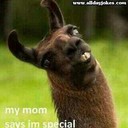 Logan Weber - @xxlawdogxx - Twitter