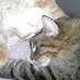 Brenda Wade (@brendawade17) Twitter profile photo
