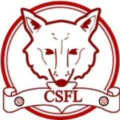 The Official Twitter account for the Charnwood Sunday Football League (CSFL), affiliated to LRCFA. Views expressed here are not that of the CSFL.