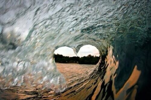 modamalk's profile picture. 