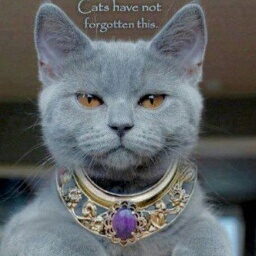 I am a part time opera singer. I sing well, eat a lot, and love to laugh. And I'm good at Fortune telling.
