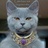 PrinzOrlofsky's profile image