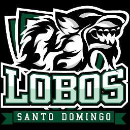 Jugador y amante del fútbol americano, ·#24∞ lobos de santo domingo, estudiante de arquitectura, Deportista.