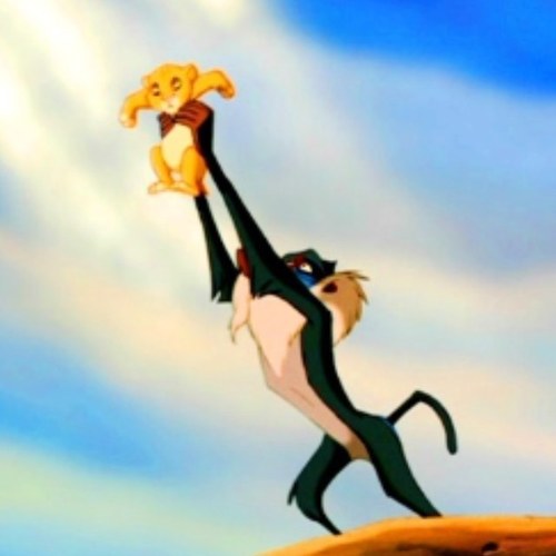 MoreReece's profile picture. 