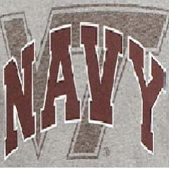 HokienNavy06's profile picture. Hokie ‘06, Navy Vet, anime enthusiast, Common Sense rep, Fly 🦅 Fly