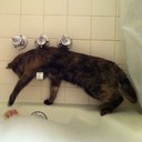 Mandy Morales - @Acook48Morales - Twitter