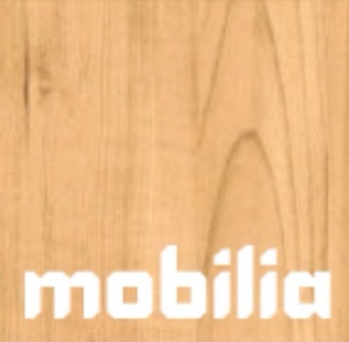 Mobilia specialises in designer European furniture and furnishings for the residential and commercial markets,as well as an unrivaled custom furniture offering