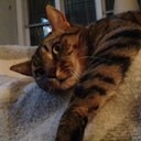 Stephanie Rood - @RoodStephanie - Twitter