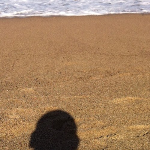 urifdo's profile picture. 