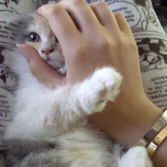 sexy_Money010's profile picture. صدقننني بجننك :$