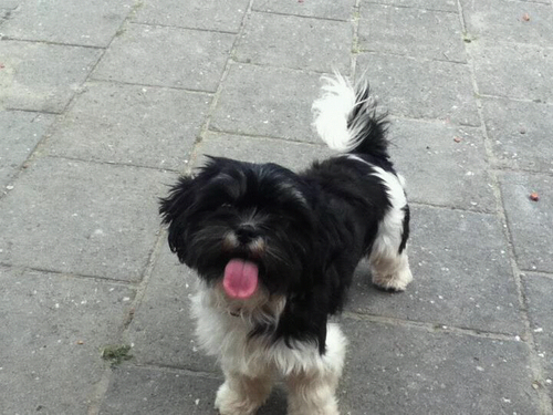 Hoi schoonbroer ! Ur a honeypop ! Hahaha oke doei