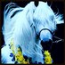Oman777 (@oman7772) Twitter profile photo