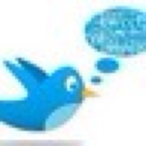 ks04834173's profile picture. تابعني اتابعك ......لتوصيل حسابك الﯽ 500في الدقيقه ......فلومي+ريتورت لتغريده=500...سوريا ......المملكه العربيه السعوديه