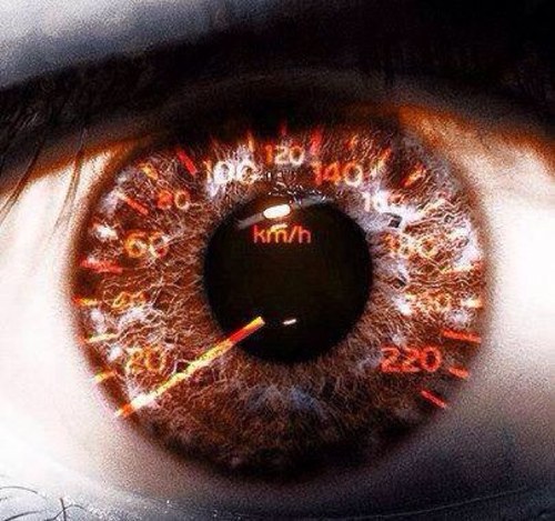 rocco_rocco12's profile picture. 