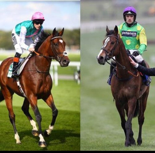 Horse racing and nufc, tweet occasional fancies