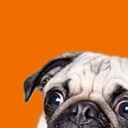 Lead Support helps non-profit organizations and companies to generate and convert quality business leads!
