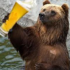 UCFBear Profile Picture