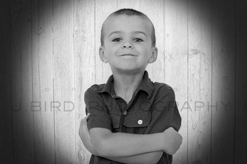 Tigerbaum124's profile picture. 