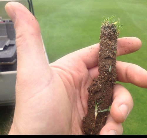 Course Superintendent, passionate about ALL disciplines related to golf course maintenance. Tweets reflect my opinion alone.