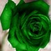 Umm Abdullah (@salammaya) Twitter profile photo Umm Abdullah (@salammaya) Twitter profile photo