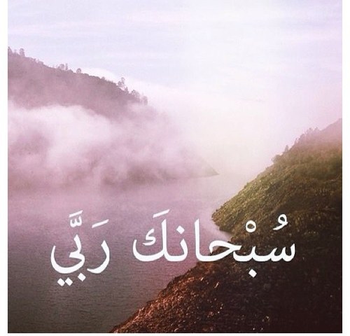 وما توفيقي الا بالله ♡'
