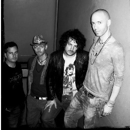 Rock band that should have been massive. The follow up to debut album Lunatic Ride is being recorded in Autumn. Time for another bite of the cherry.