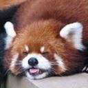 bob billion - @bOsybEar - Twitter