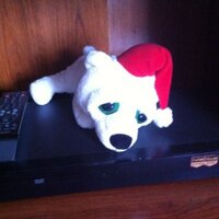 PDoy (@ichirodoyon) 's Twitter Profile