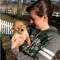 Laura Blanchet (@mrsblanchet7) 's Twitter Profile Photo