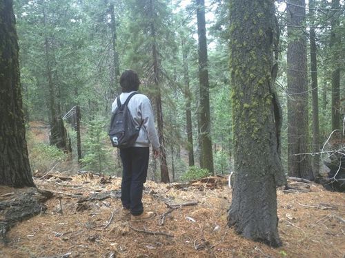 gilbeert_77's profile picture. 