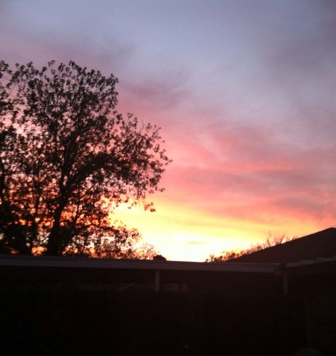 Cjwebb7's profile picture. 