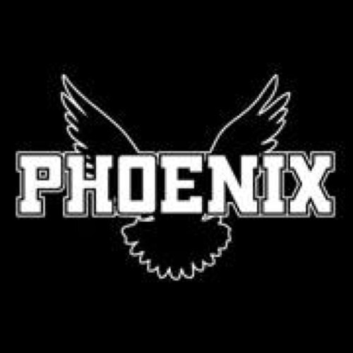 Facebook: /phoenixracingau; Instagram: phoenixracingau