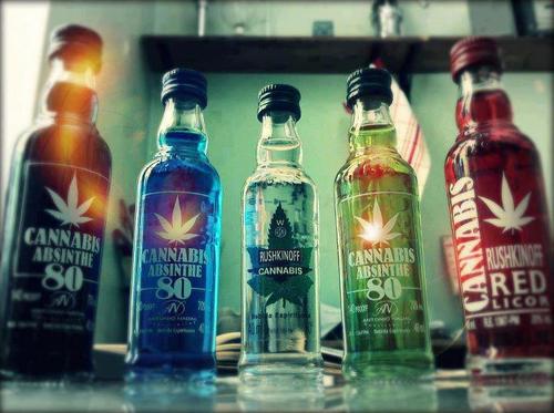 BubaTibbia's profile picture. 