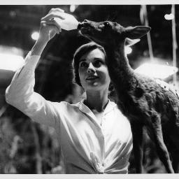 pocajisu's profile picture. 