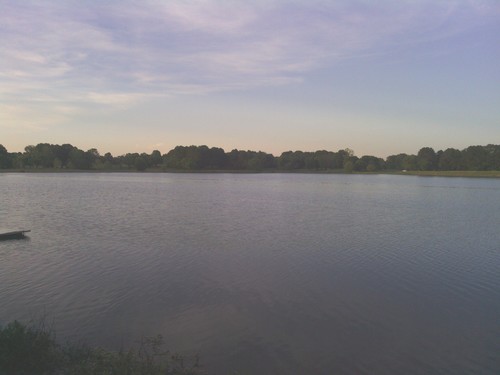 webbservices's profile picture. 